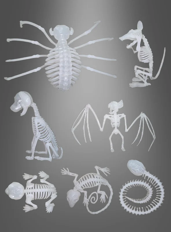Skeletttiere Halloween nachtleuchtend