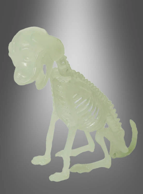Skeletttiere Halloween nachtleuchtend