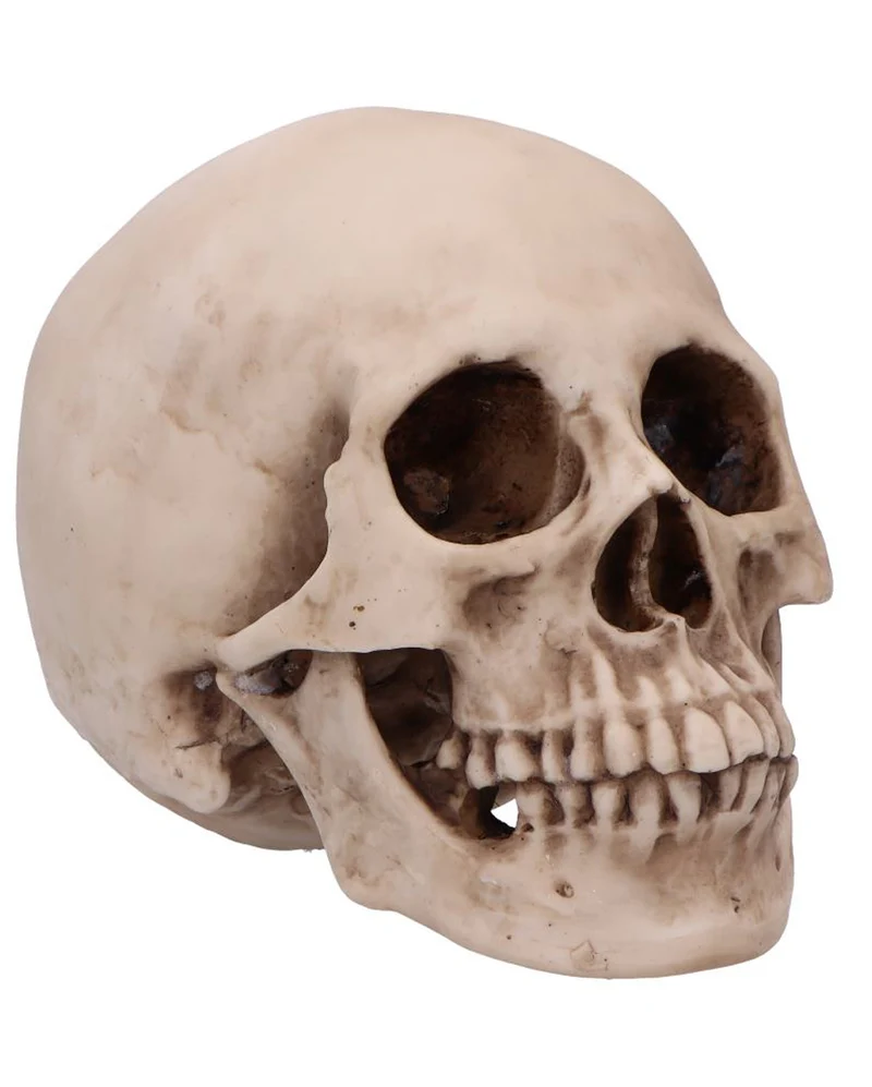 Craniology Totenkopf 16cm