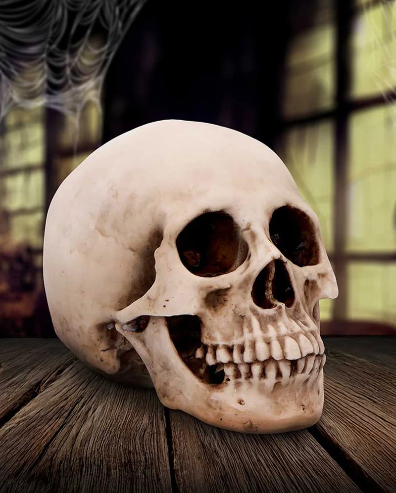 Craniology Totenkopf 16cm