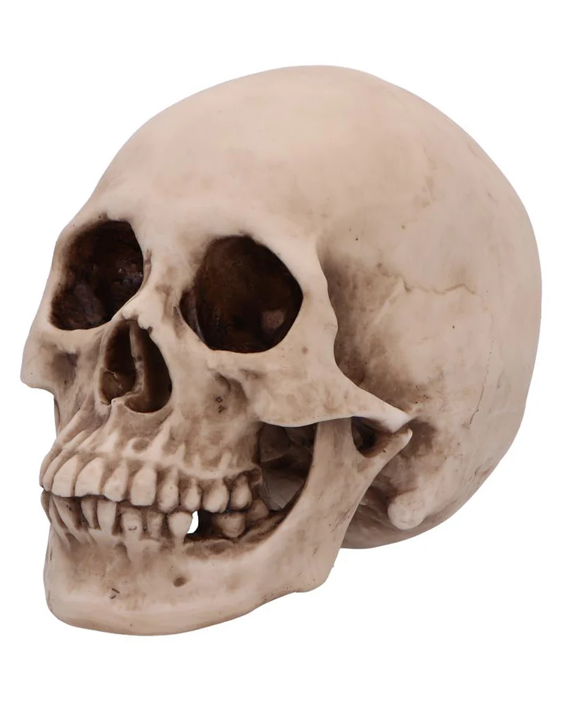 Craniology Totenkopf 16cm