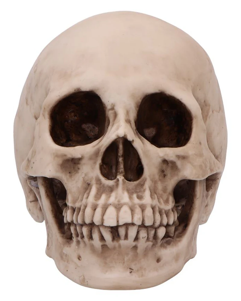 Craniology Totenkopf 16cm