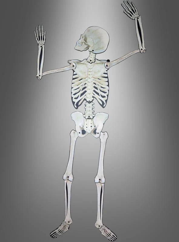 Bewegliche Skelett Wanddeko 158cm
