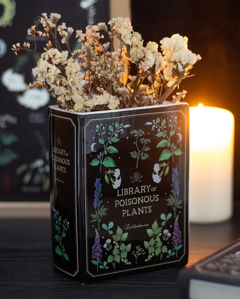 Giftpflanzen-Vase in Buchform 14,5cm