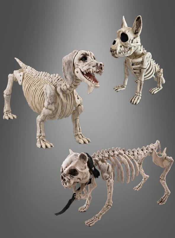 Skelett Hund Halloween Deko
