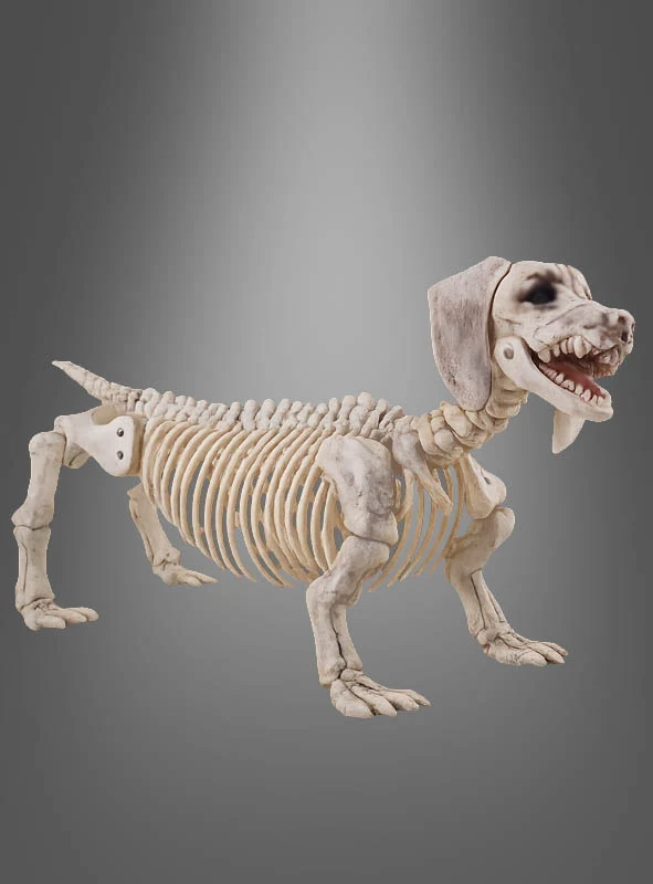 Skelett Hund Halloween Deko