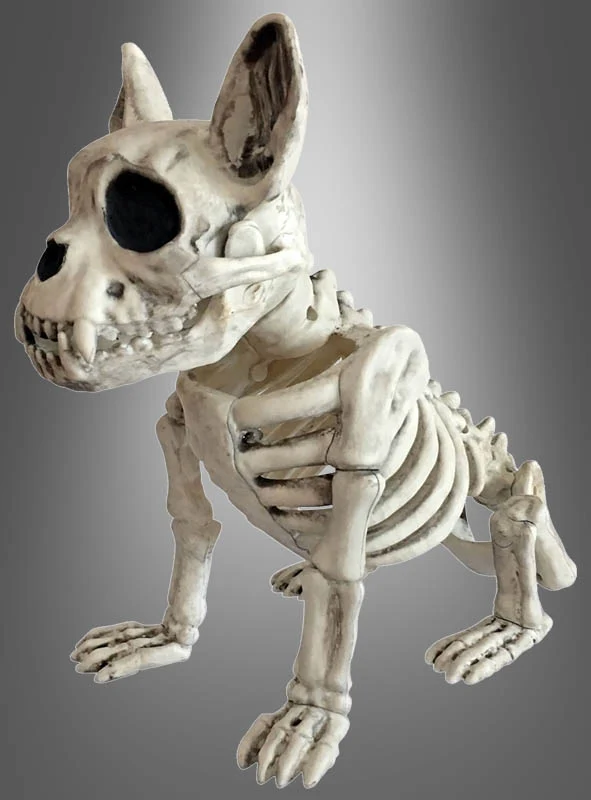 Skelett Hund Halloween Deko
