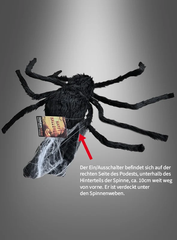 Springende Spinne 70x50cm animiert