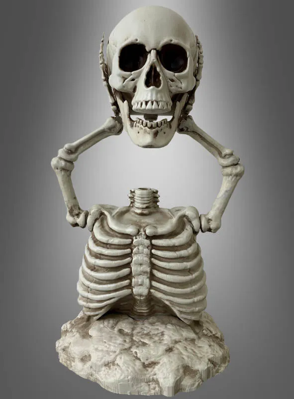 Skelett geköpft 40cm Friedhof