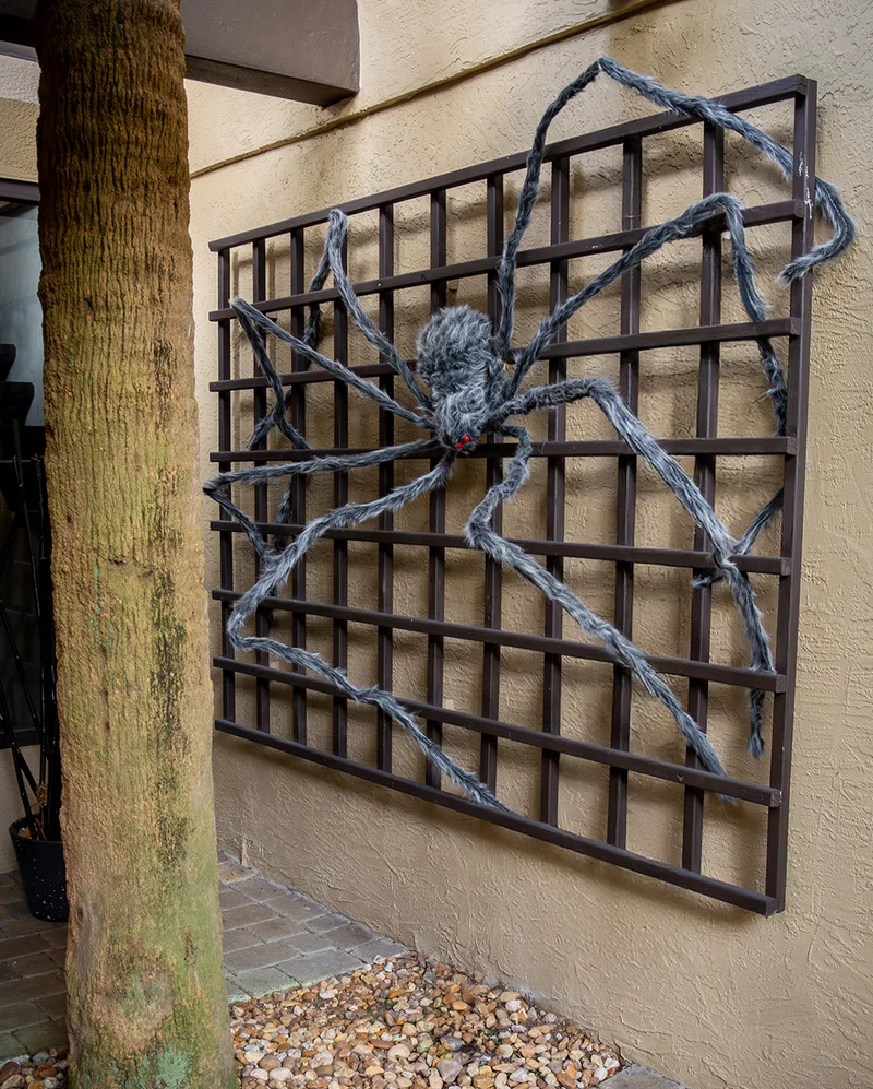 Gigantische Grau-Schwarz Melierte Spinne 360cm