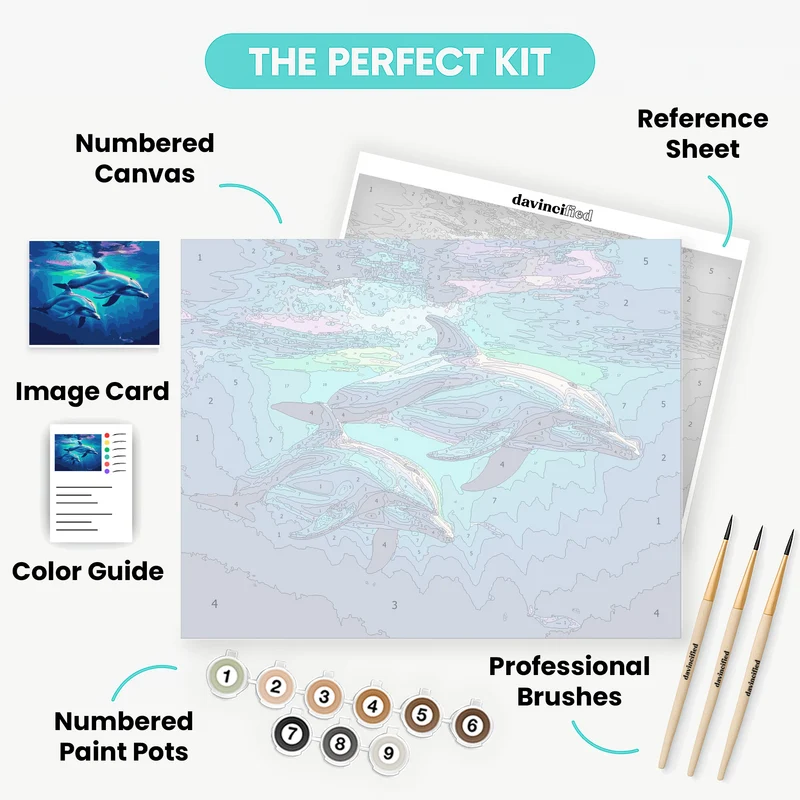Dolphins Swimming Underwater - Paint by Numbers Kit