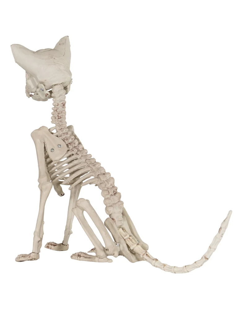 Sitzende Skelett Katze 48cm