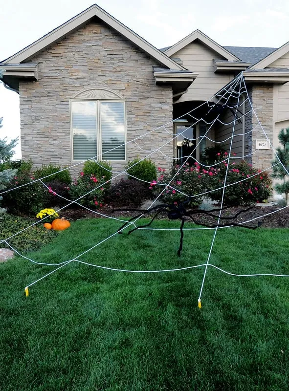 Spinnennetz 5 Meter Riesige Halloween Deko