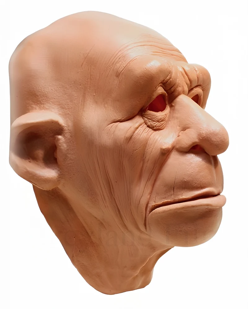 Neandromos Maske