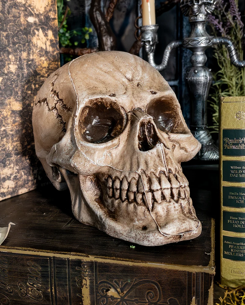 Antiker Morbid Relic Totenschädel 17cm