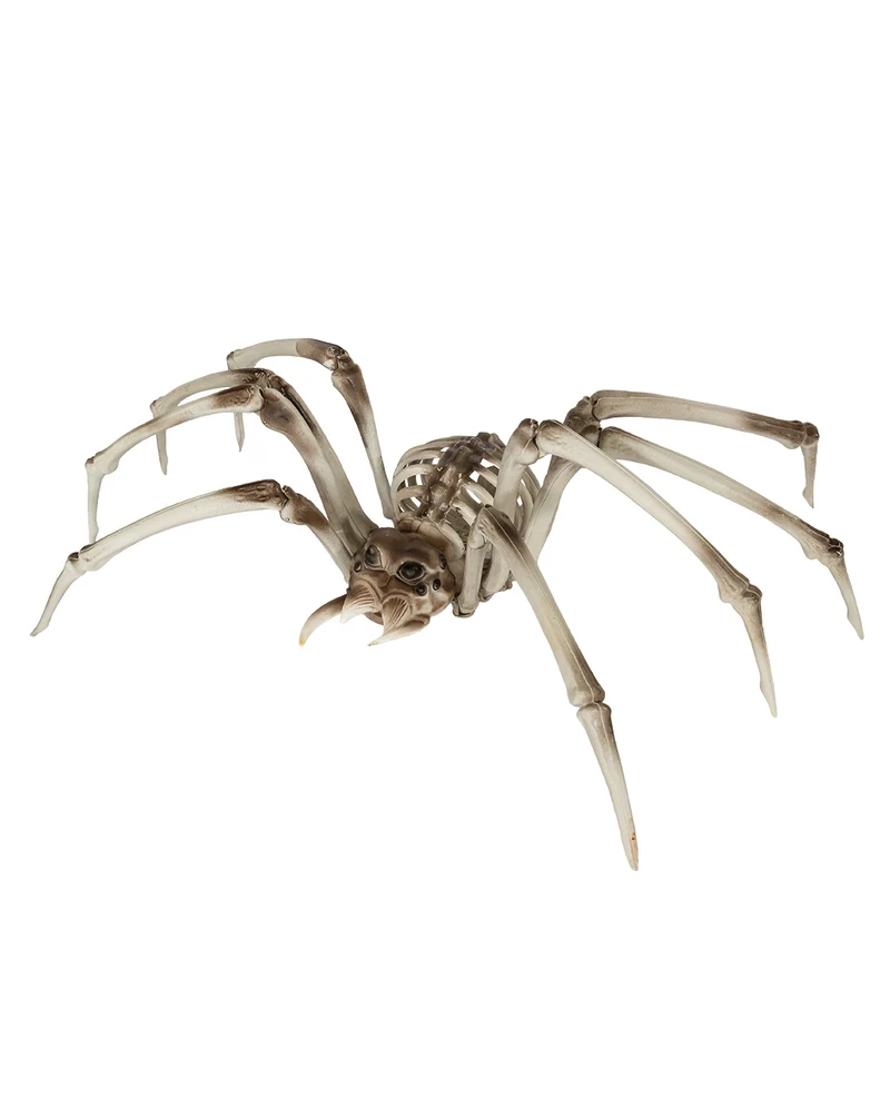 Riesige Skelett Spinne 82cm