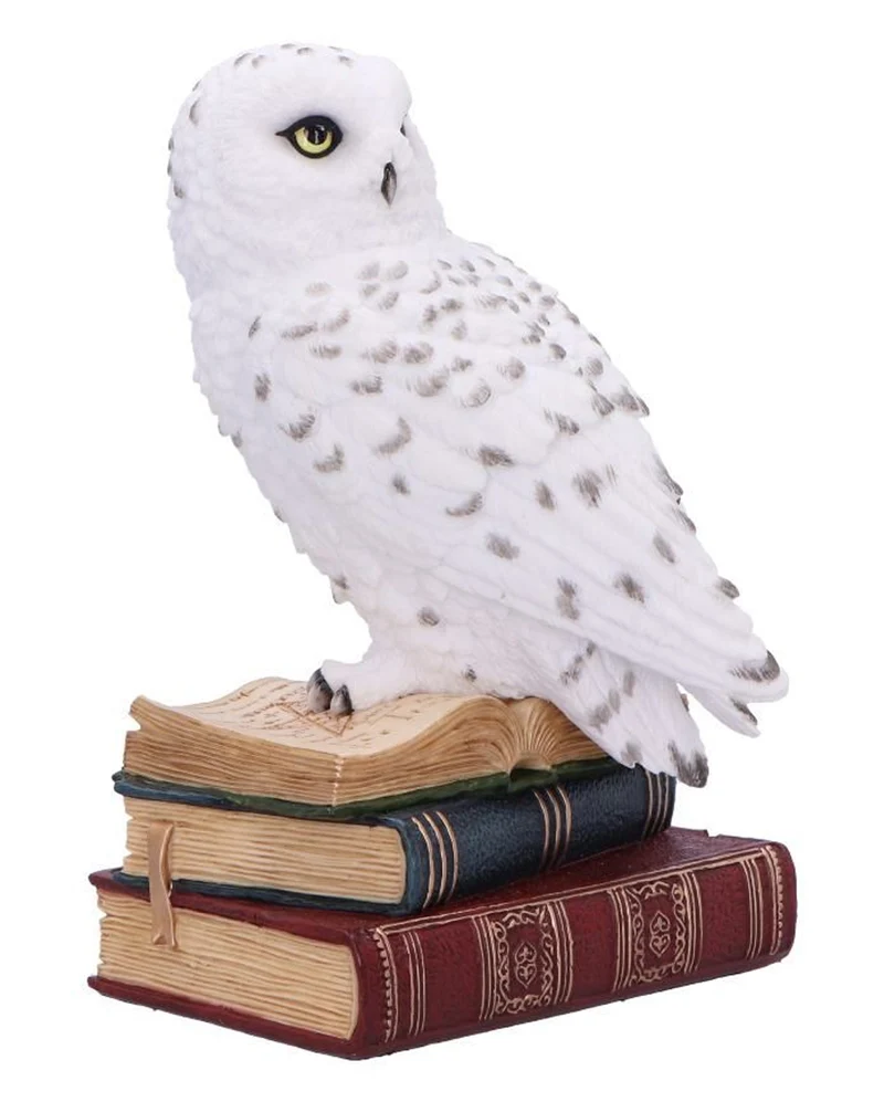 Library of Wisdom Eule Dekofigur 17cm