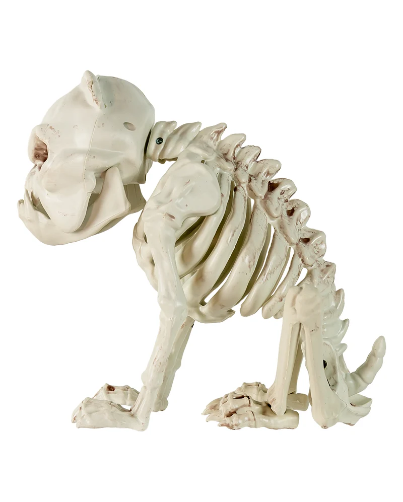 Bulldogge Hunde Gerippe als Halloween Deko