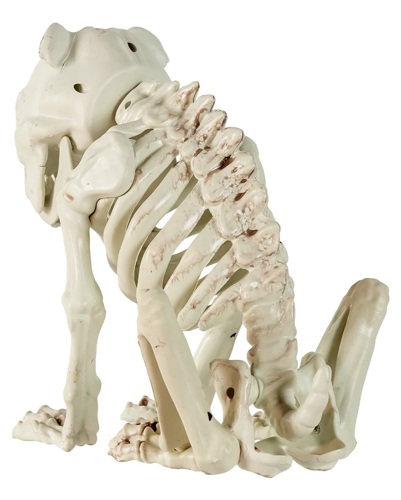 Bulldogge Hunde Gerippe als Halloween Deko
