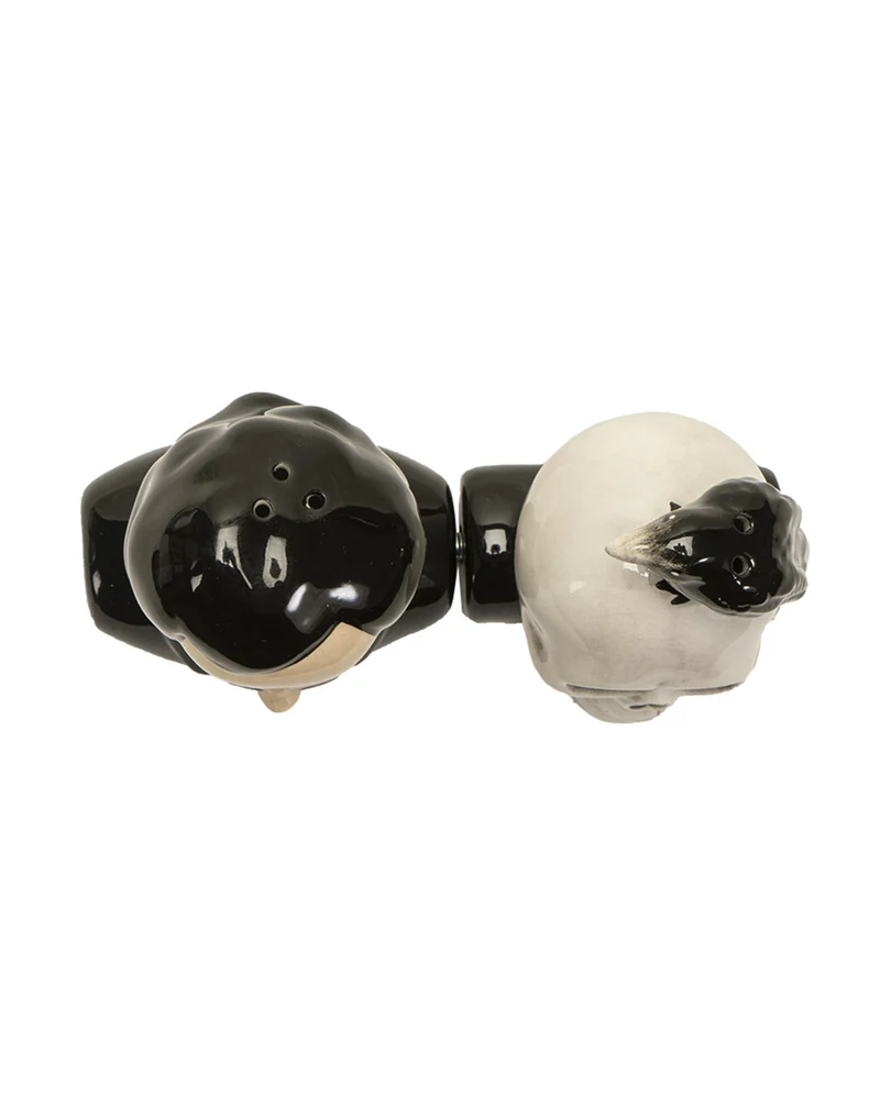 Edgar Allan Poe & Raven Salz & Pfefferstreuer Set