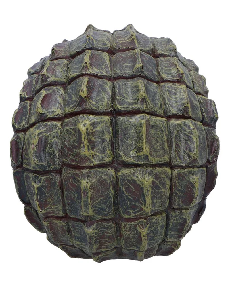 Reptillian Totenschädel 17cm