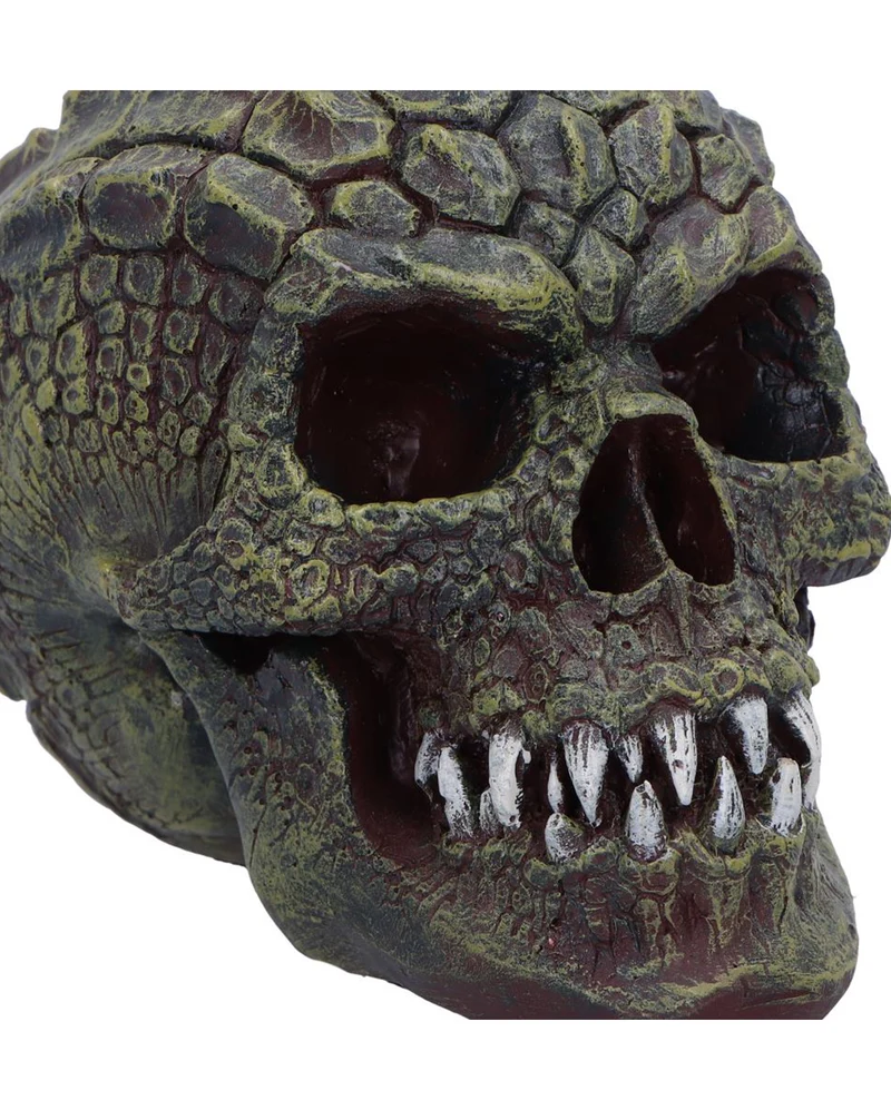 Reptillian Totenschädel 17cm