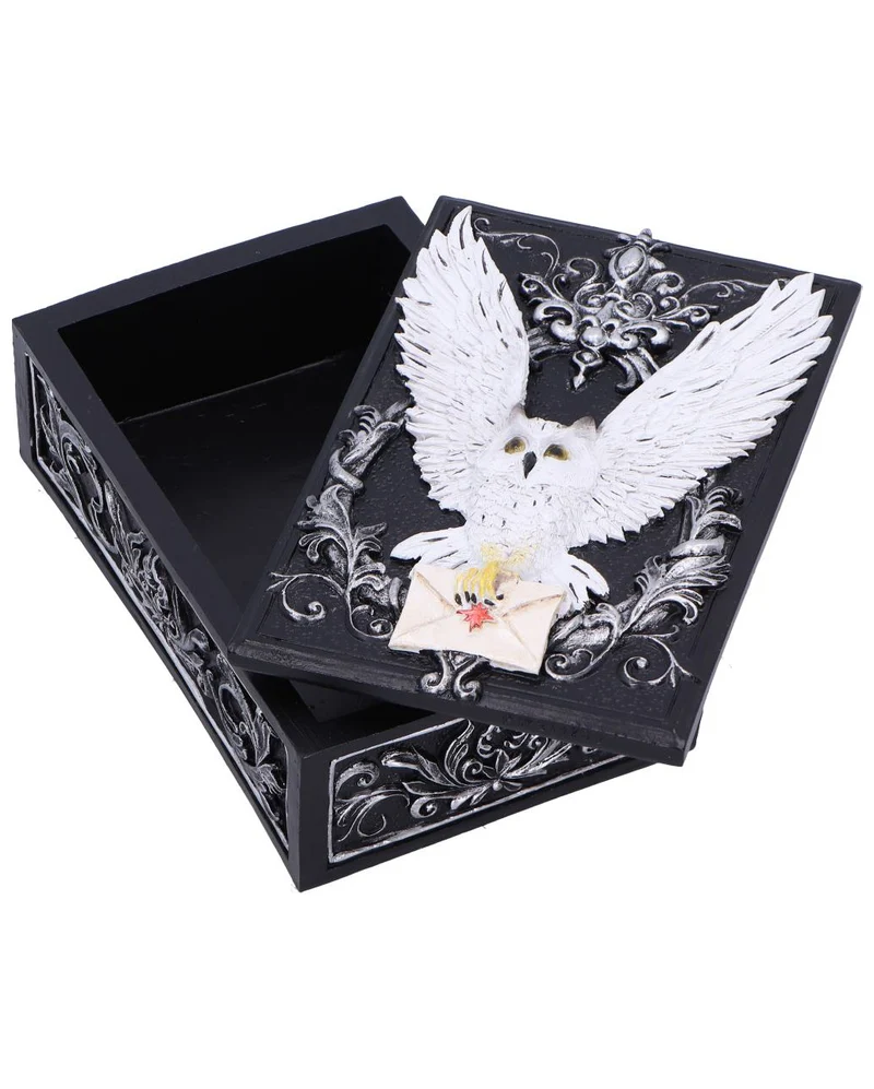 Schwarze Schmuckbox mit geheimnisvoller Eule 18cm