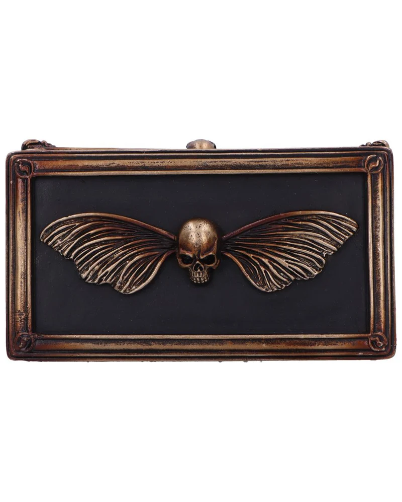 Totenkopf mit Mottenflügel Schatulle 19,5cm
