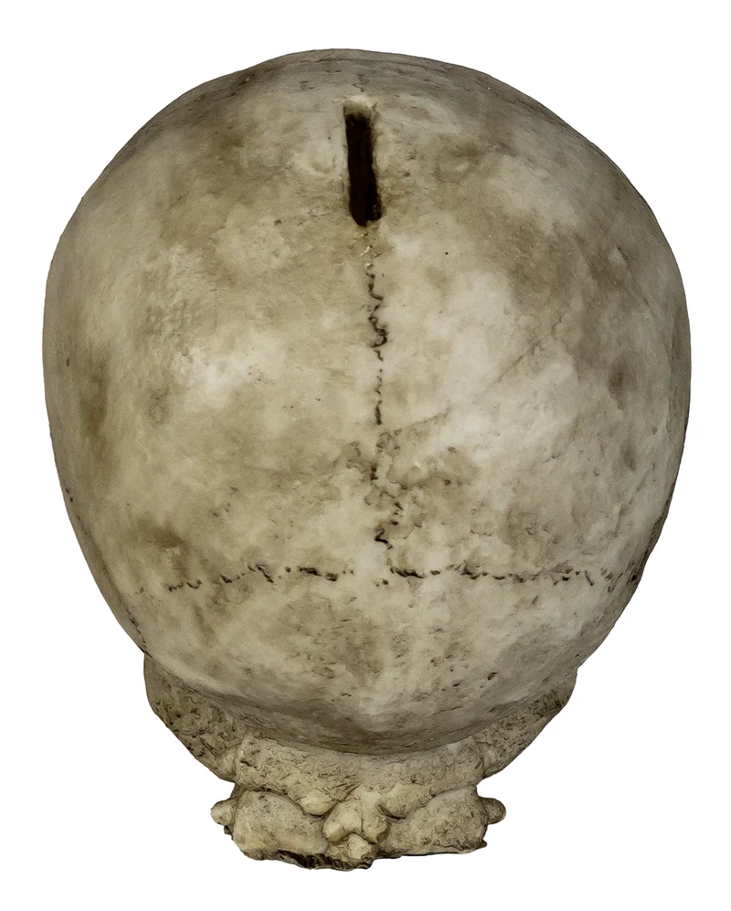 Totenschädel Spardose 19cm