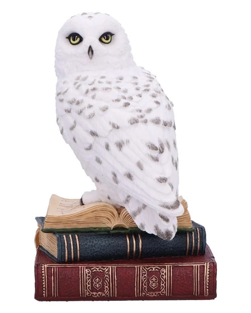 Bibliothek der Weisheit Eulen Figur 17cm