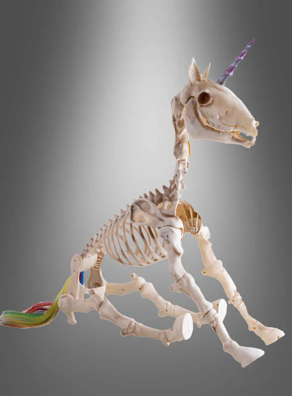 Einhorn Skelett 60cm mit Ton und Licht