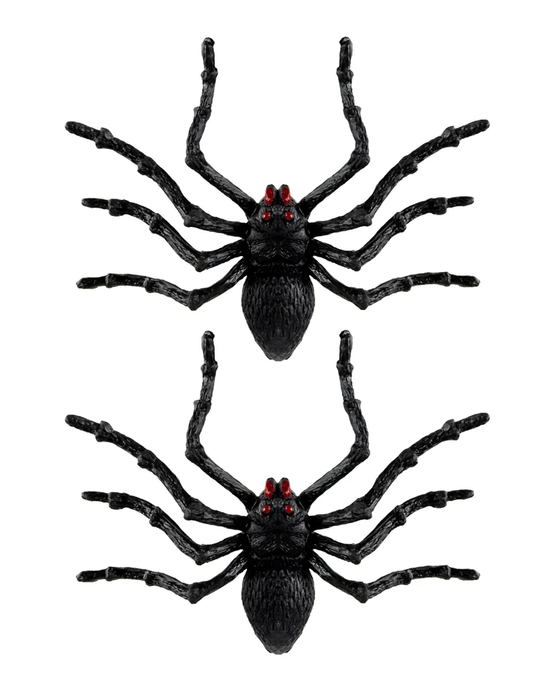 Schwarze Riesen Tarantel 2 St. 14cm