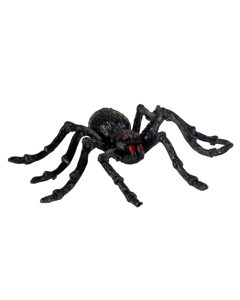 Schwarze Riesen Tarantel 2 St. 14cm