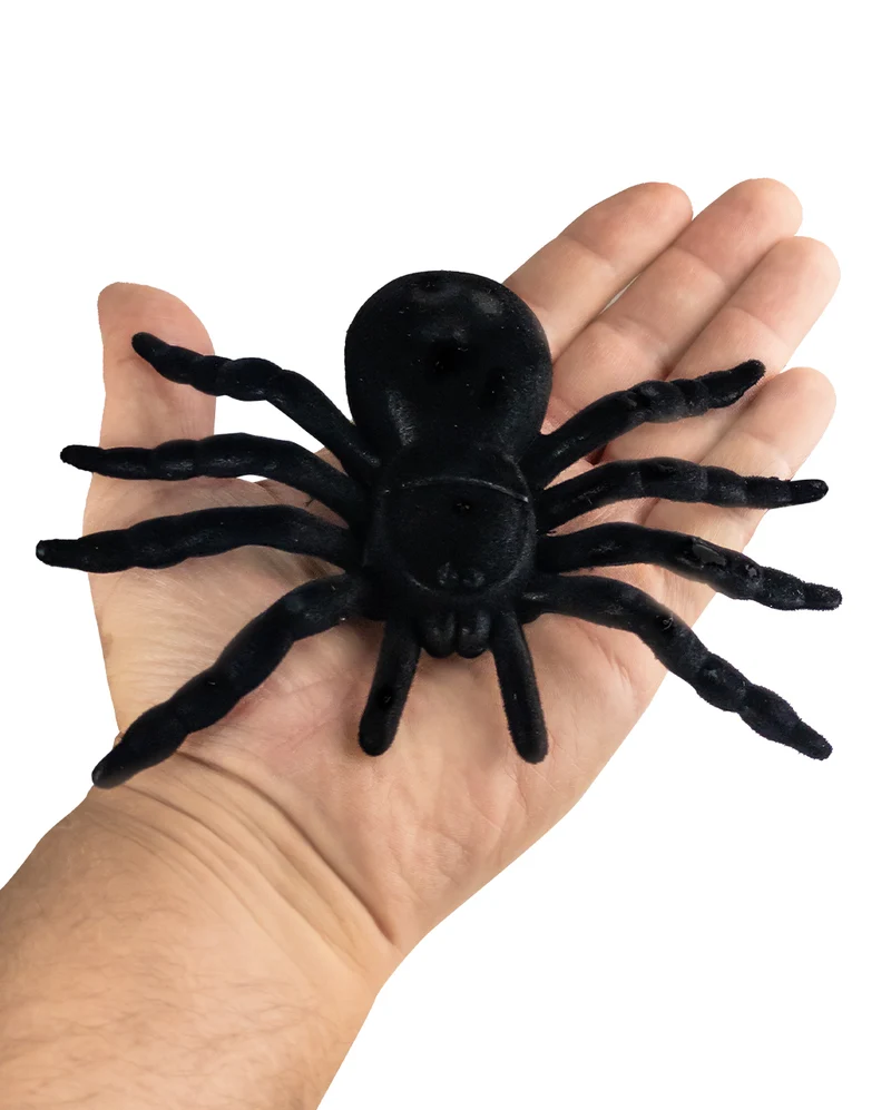 Schwarze Riesenspinne 16cm