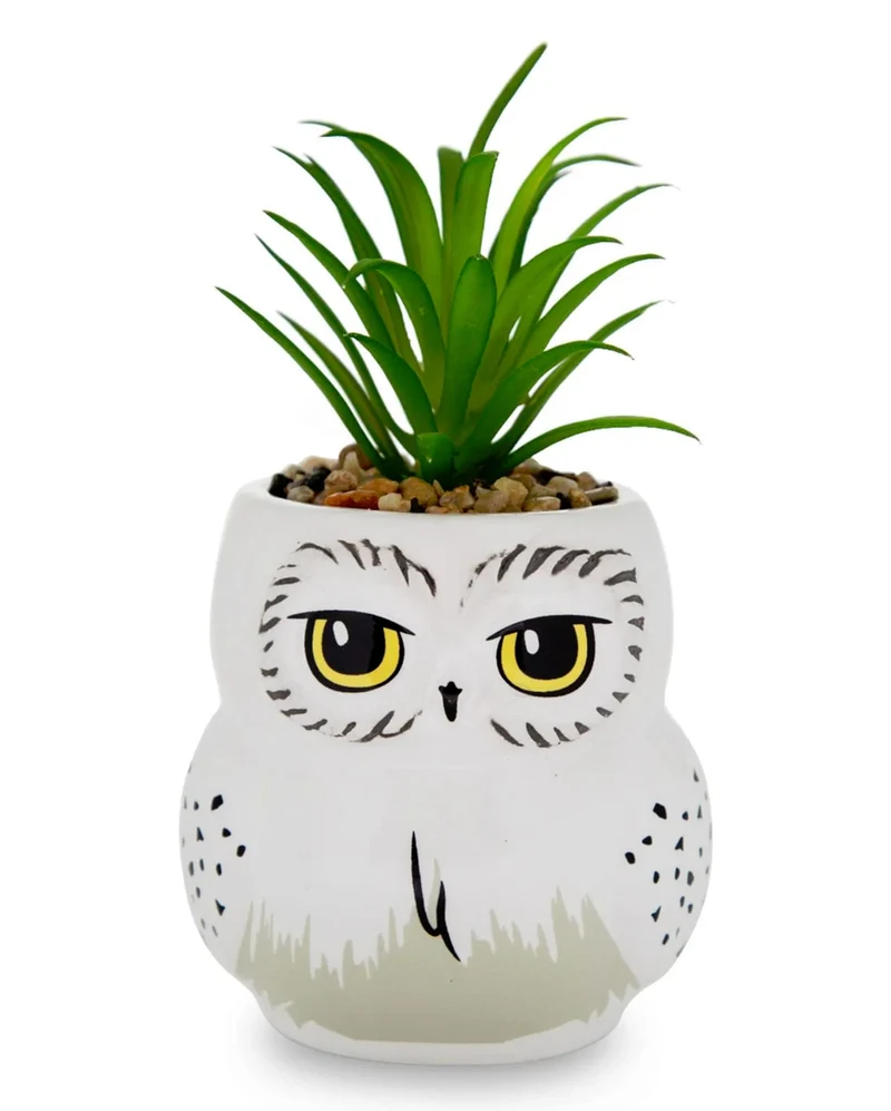 Harry Potter Hedwig Topf mit Pflanze