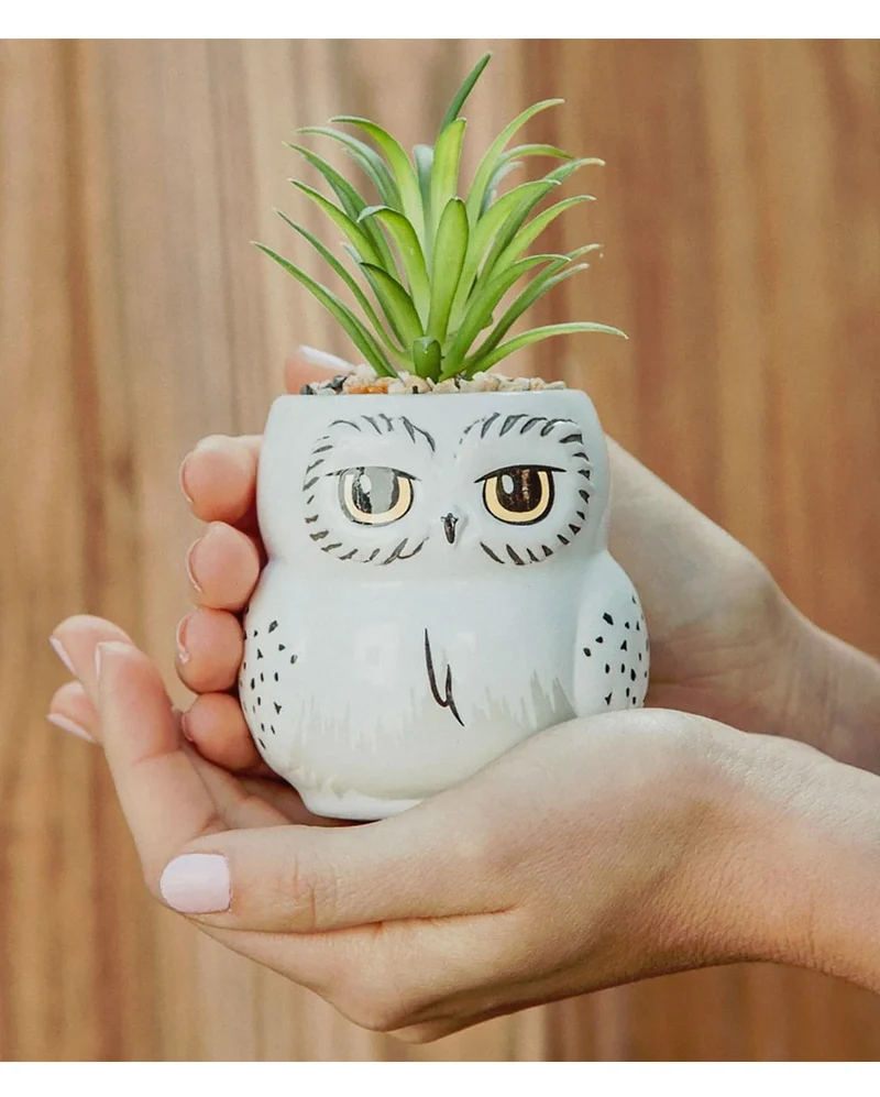 Harry Potter Hedwig Topf mit Pflanze