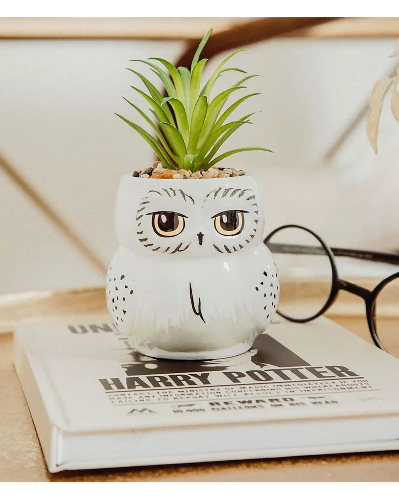 Harry Potter Hedwig Topf mit Pflanze