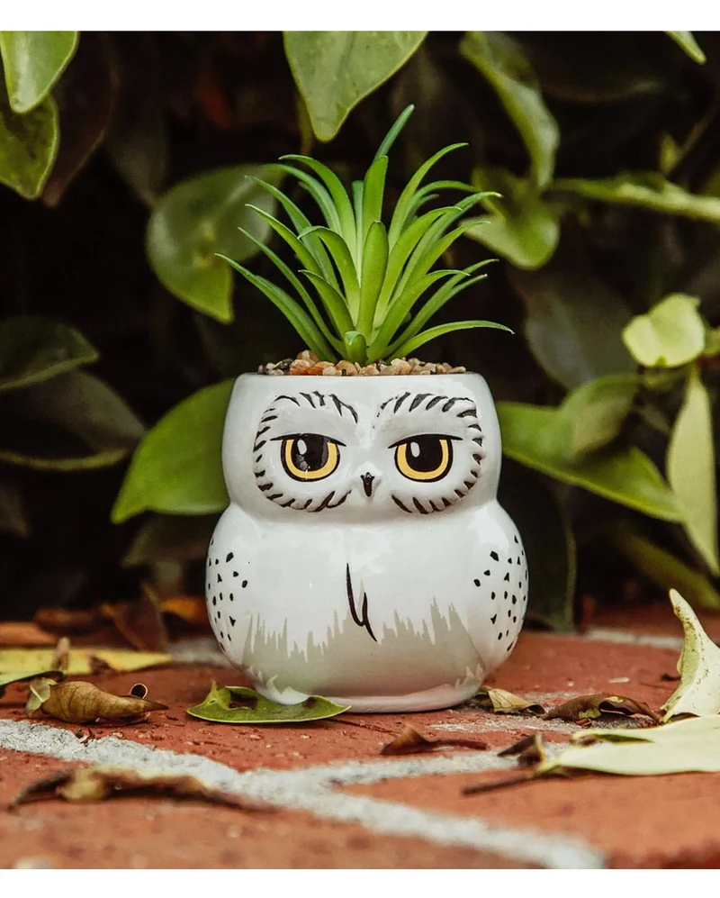 Harry Potter Hedwig Topf mit Pflanze