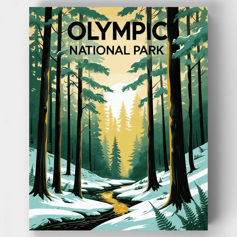 Olympic National Park Winter Forest Stream - Paint by Numbers Kit