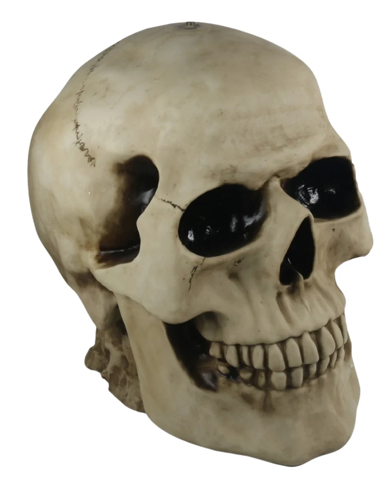 Totenkopf Tisch mit Runder Glasplatte 56,5cm