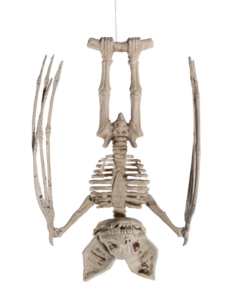 Skelett Fledermaus mit beweglichen Flügeln 27cm