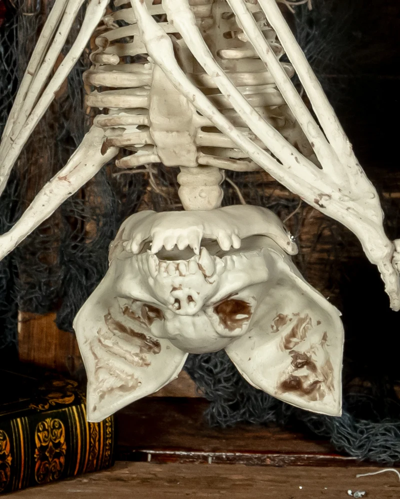Skelett Fledermaus mit beweglichen Flügeln 27cm