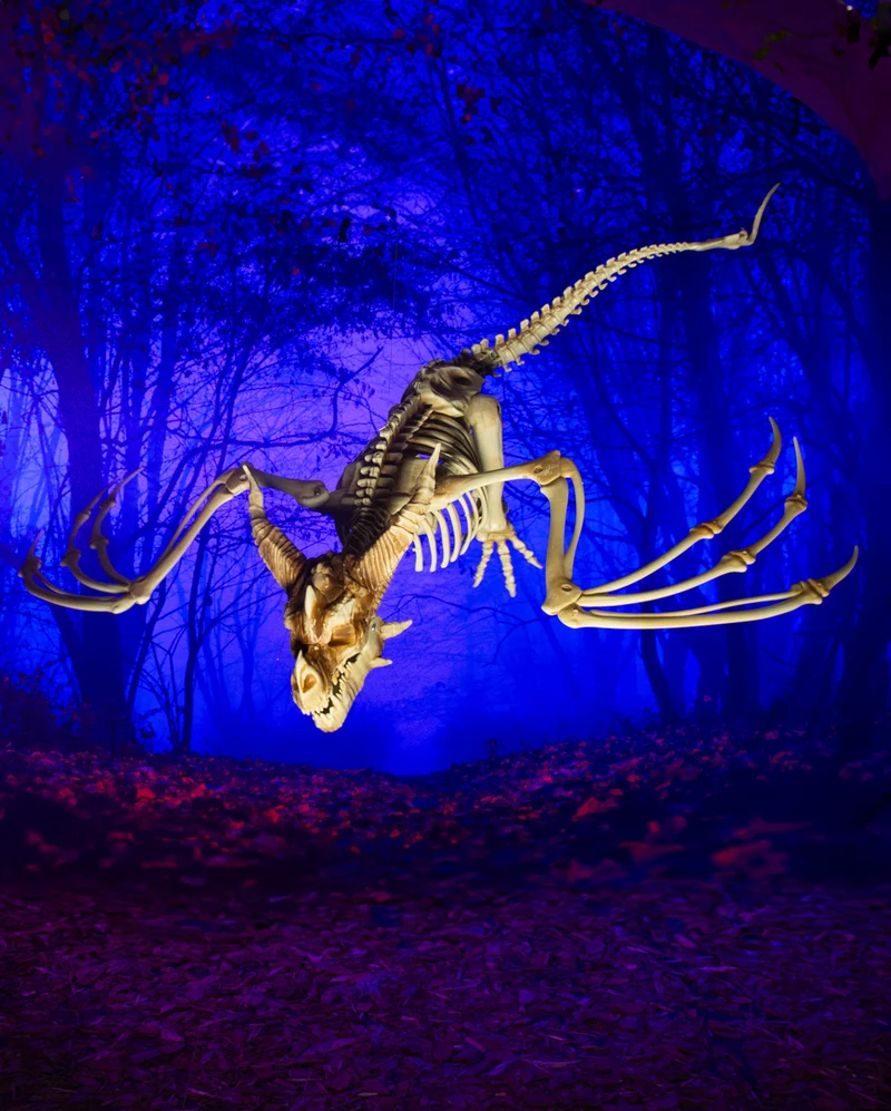 Drachen Skelett mit positionierbaren Flügel 90cm