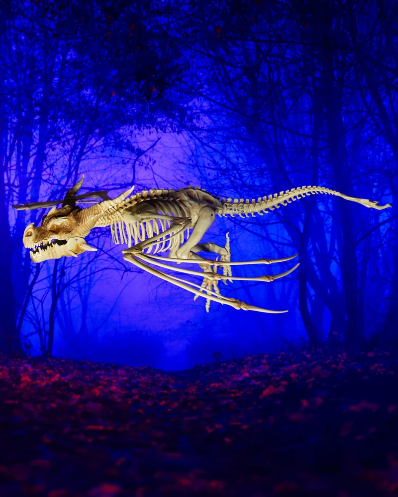 Drachen Skelett mit positionierbaren Flügel 90cm