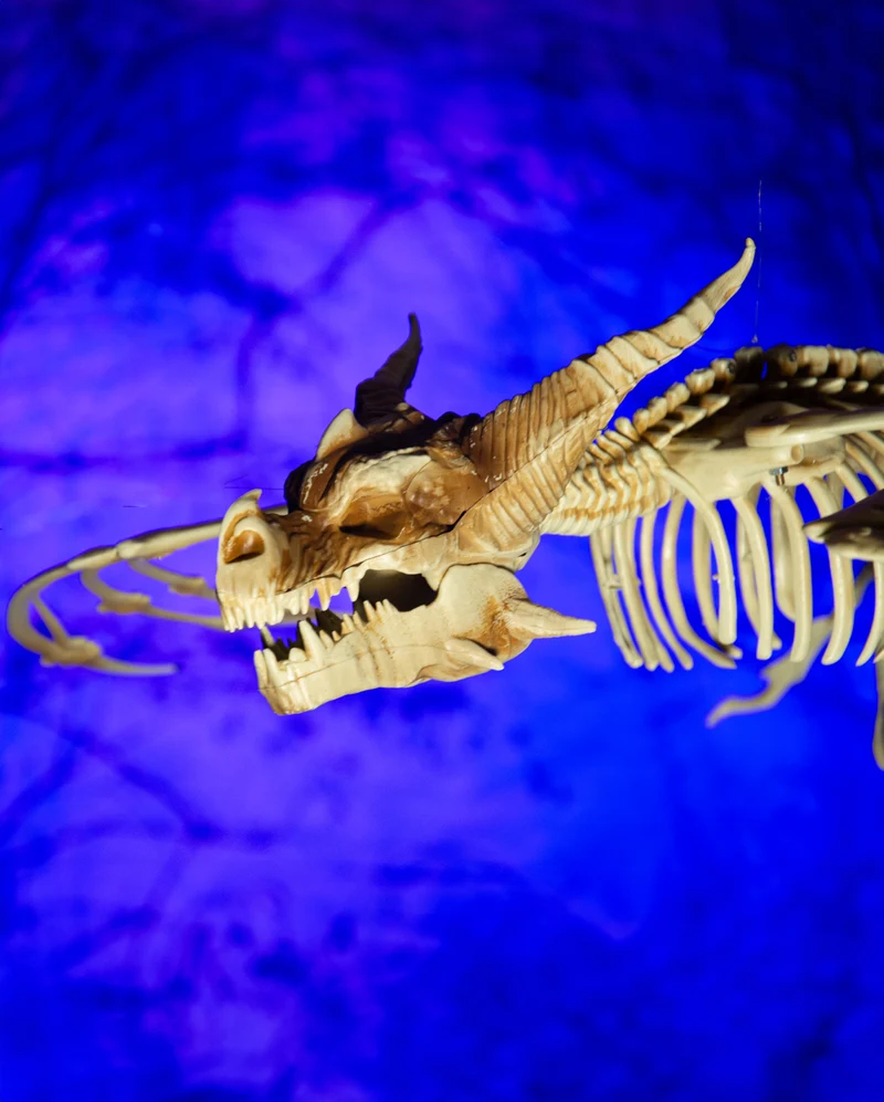 Drachen Skelett mit positionierbaren Flügel 90cm