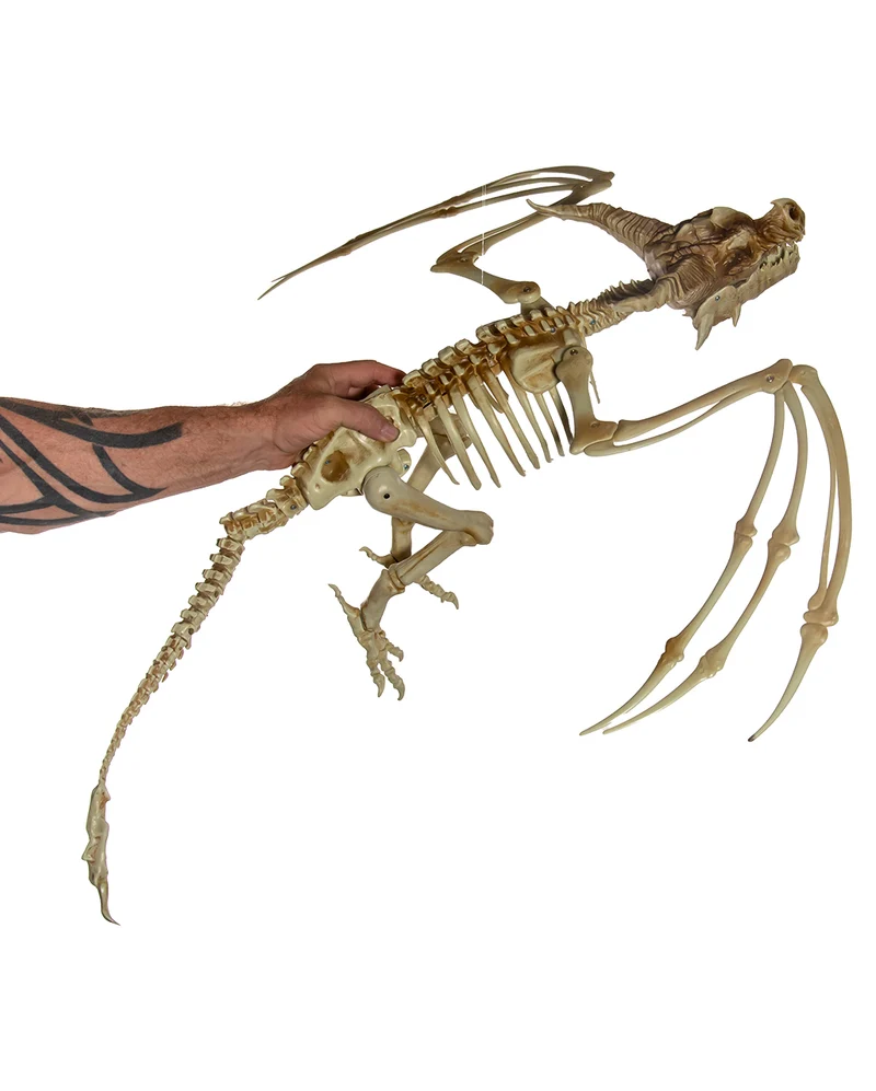 Drachen Skelett mit positionierbaren Flügel 90cm