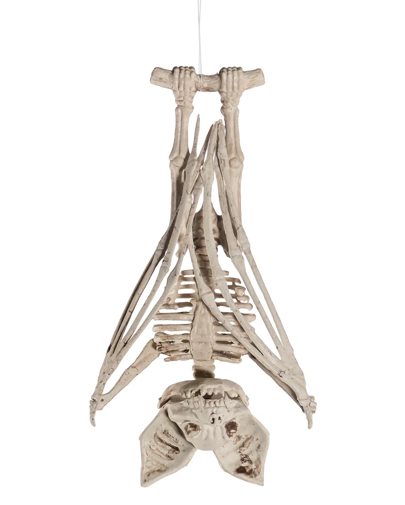 Skelett Fledermaus mit aufklappbaren Flügeln 27cm