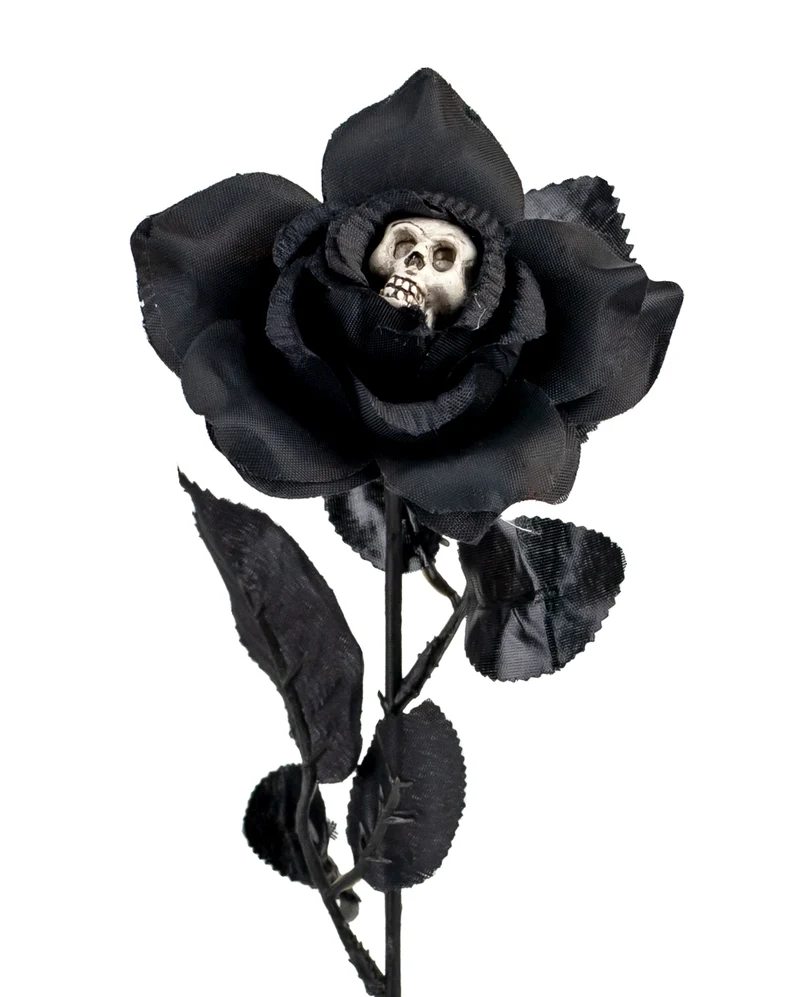 Schwarze Rose mit Totenschädel in der Blüte 42cm