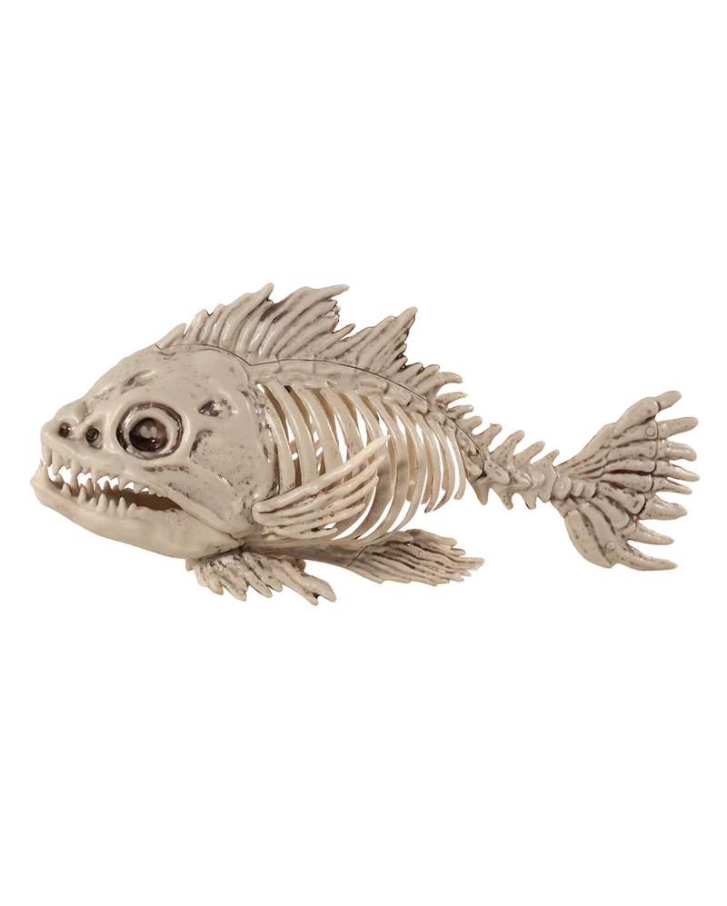 Fisch Skelett als Deko 25cm