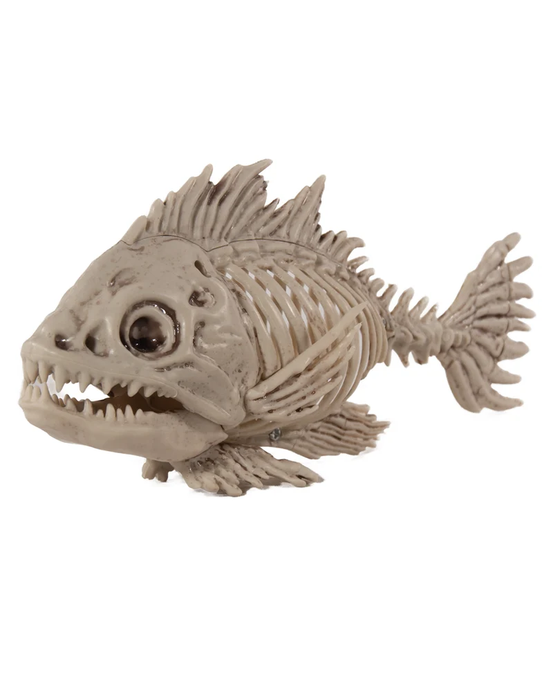 Fisch Skelett als Deko 25cm